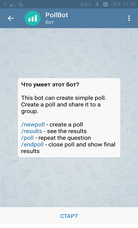 Начало диалога с ботом PollBot