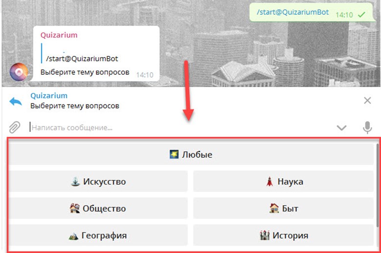 @QuizariumBot вносит разнообразие в Телеграм