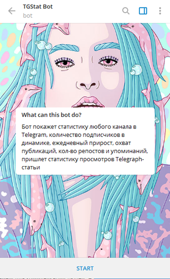 @TGStat_Bot и начало работы с ним по сбору статистики каналов Телеграм