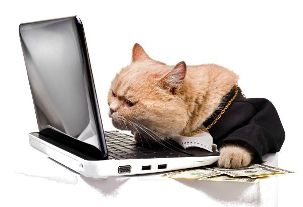 минусы сервиса SpyWords