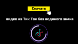 3 рабочих способа скачать видео с Тик Ток без водяного знака
